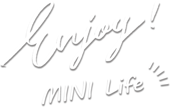 enjoy mini life